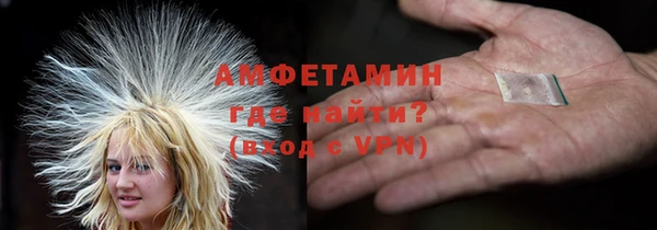 мет Алексин