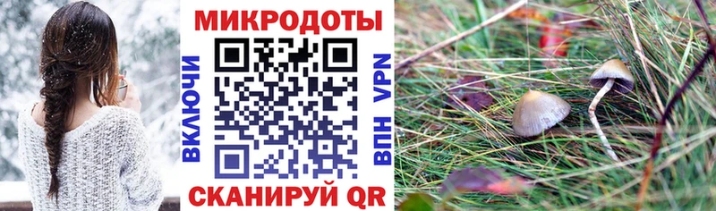 Галлюциногенные грибы мухоморы  Купить где  Тайшет 